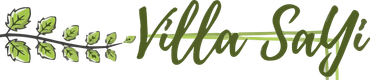 Logo de Villa Sayi