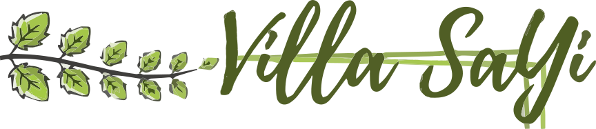 Logo de Villa Sayi